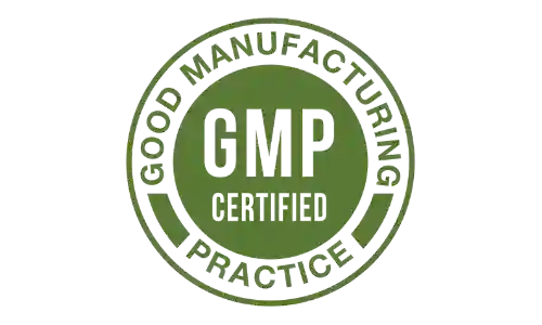 erecsurge gmp certified